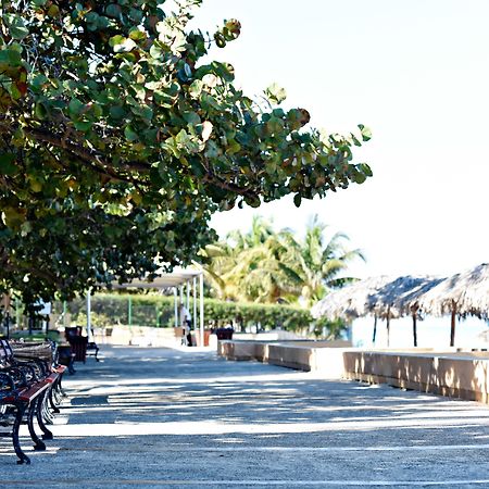 Hotel Starfish Cuatro Palmas (Adults Only) Varadero Exterior foto