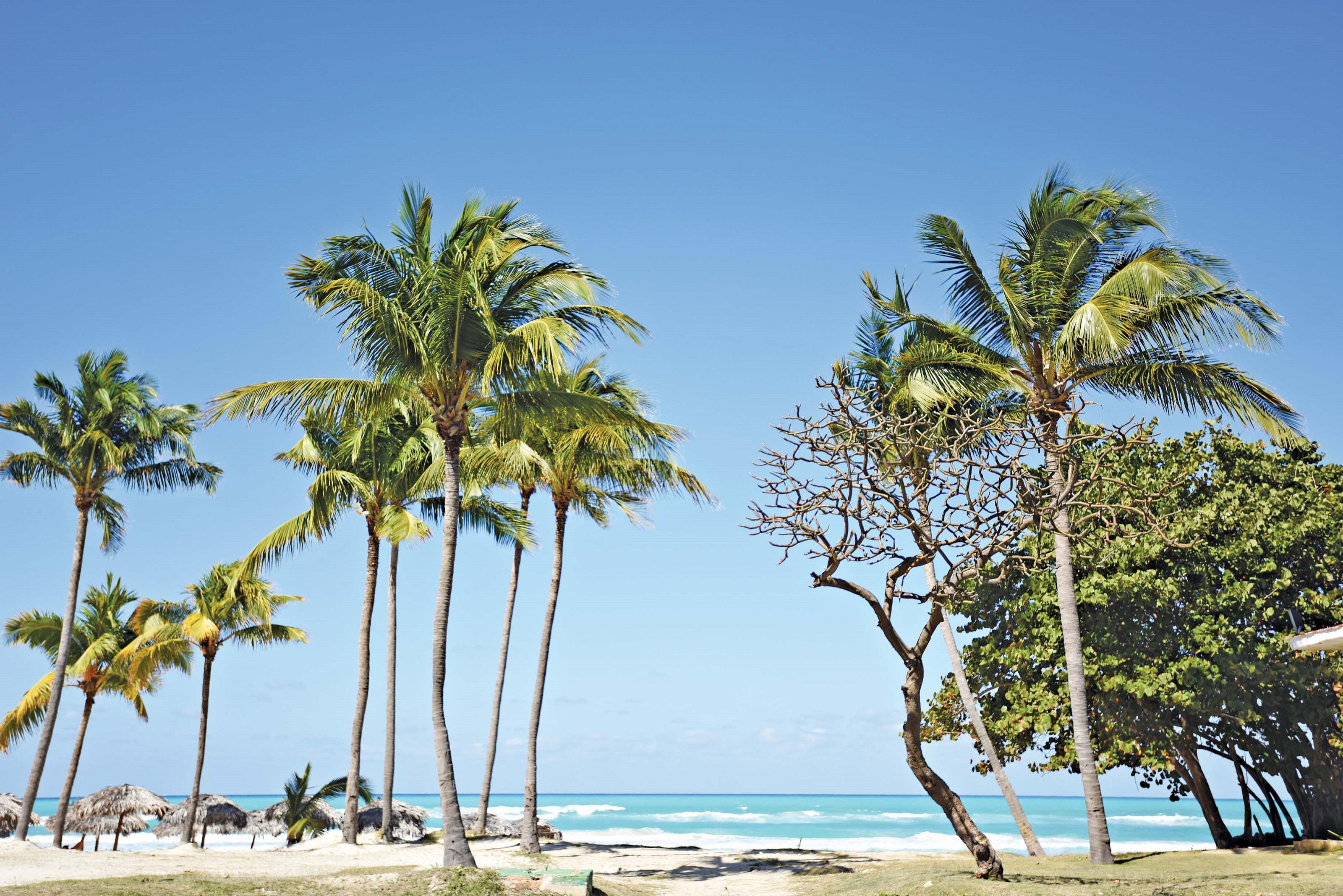 Hotel Starfish Cuatro Palmas (Adults Only) Varadero Exterior foto