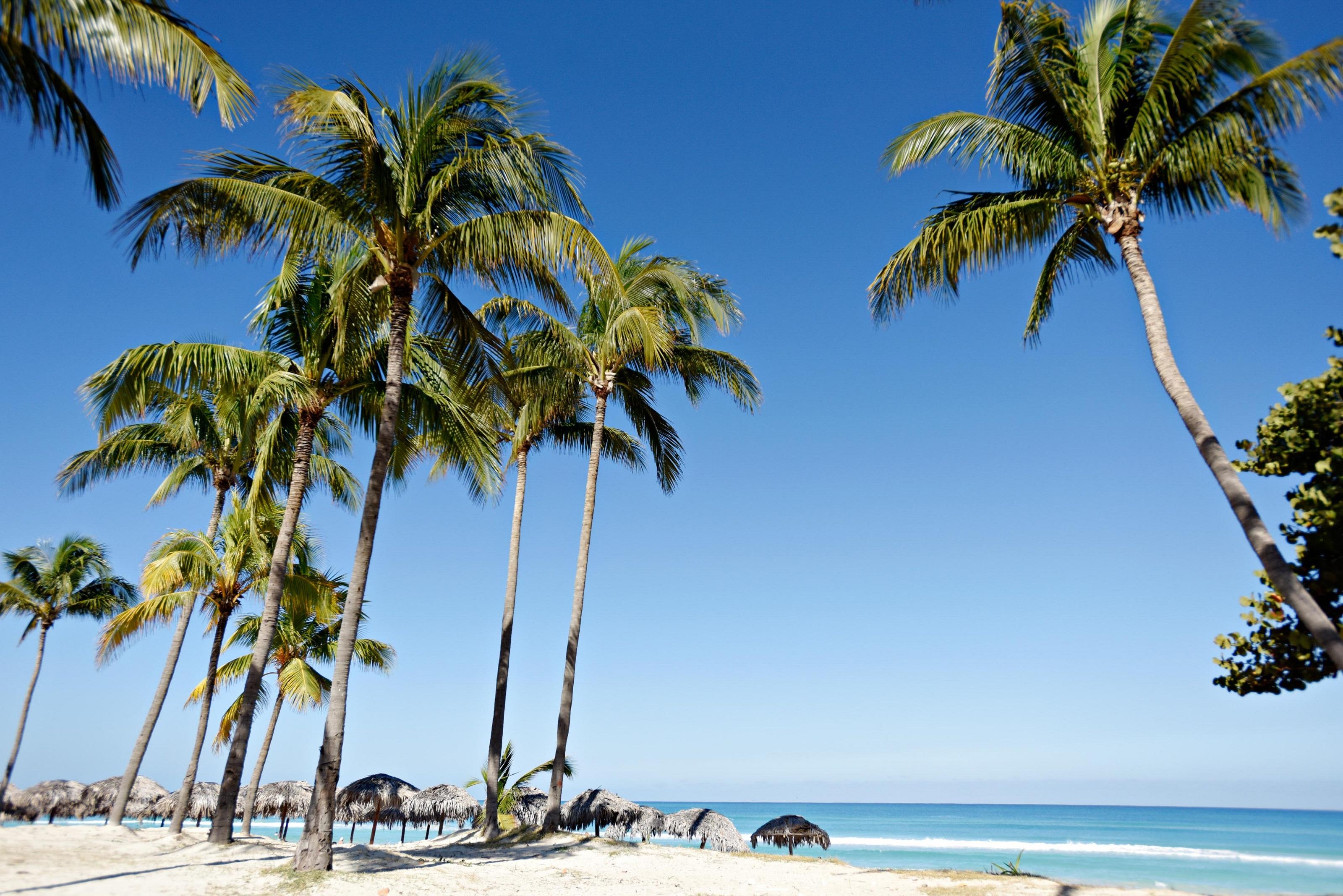 Hotel Starfish Cuatro Palmas (Adults Only) Varadero Exterior foto